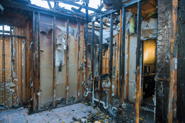 Professional Smoke Damage Removal technician working in Dayton, TX